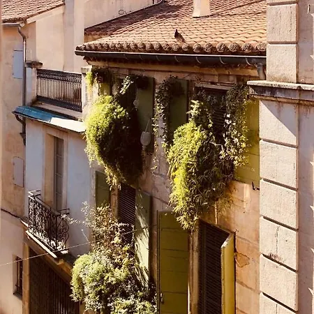 Appartements 